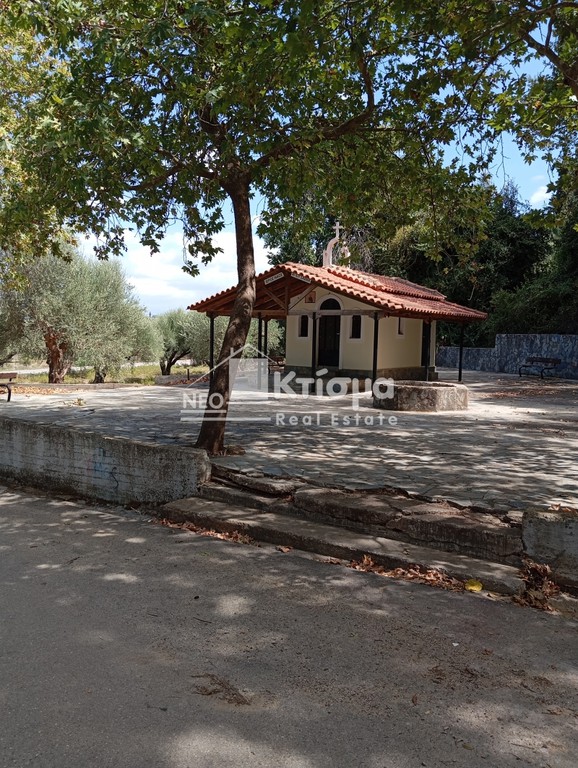 Οικόπεδο 9.324 τ.μ. προς πώληση, Βυτιναίικα Πύργου