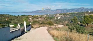 Οικόπεδο 15.000 τ.μ. για πώληση, Αργολίδα, Κρανίδι-thumb-2