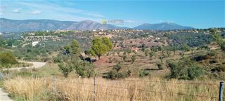Οικόπεδο 15.000 τ.μ. για πώληση, Αργολίδα, Κρανίδι-thumb-3