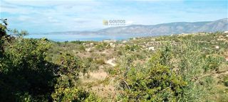 Οικόπεδο 15.000 τ.μ. για πώληση, Αργολίδα, Κρανίδι-thumb-4