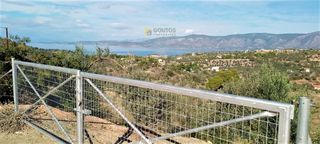 Οικόπεδο 15.000 τ.μ. για πώληση, Αργολίδα, Κρανίδι-thumb-1