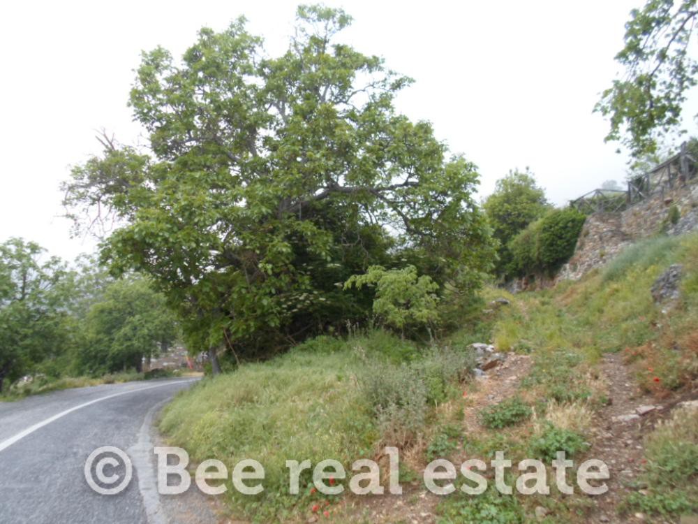 Οικόπεδο 395 τ.μ. προς πώληση, Πινακάτες