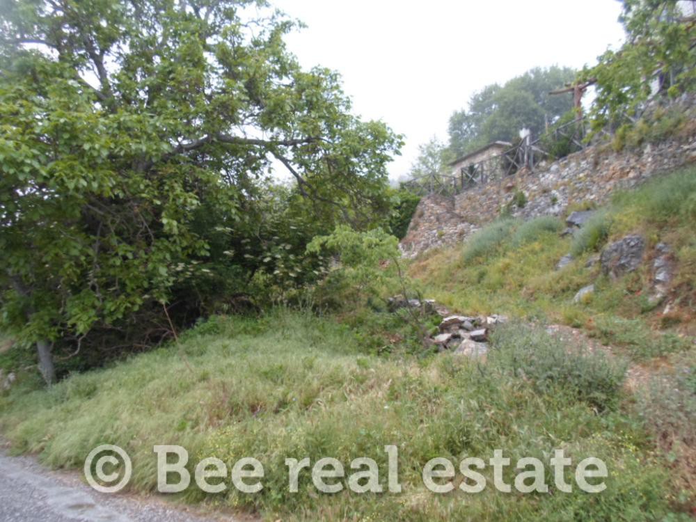 Οικόπεδο 395 τ.μ. προς πώληση, Πινακάτες