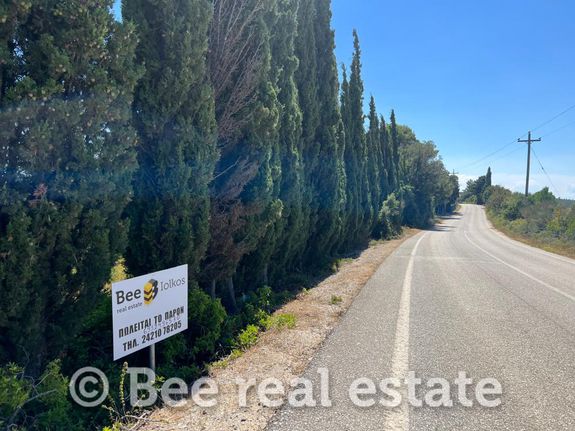 Αγροτεμάχια 2.000 τ.μ. για πώληση, Μαγνησία, Αφέτες