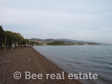 Οικόπεδο 1.500 τ.μ. για πώληση