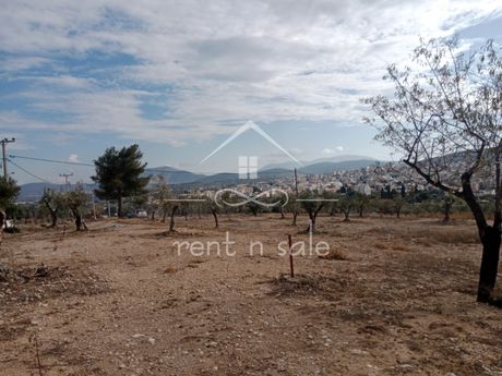 Οικόπεδο 15.000τ.μ. για πώληση-Κορωπί » Άγιος δημήτριος