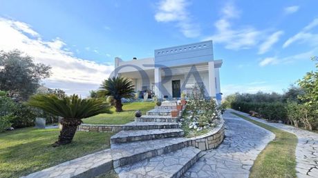 Μονοκατοικία 320τ.μ. για πώληση-Ρίο » Άνω καστρίτσι