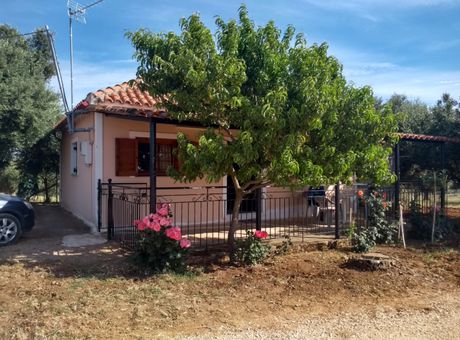 Αγροτεμάχια 20.000τ.μ. για πώληση-Λάρισσος » Άνω βελιτσές