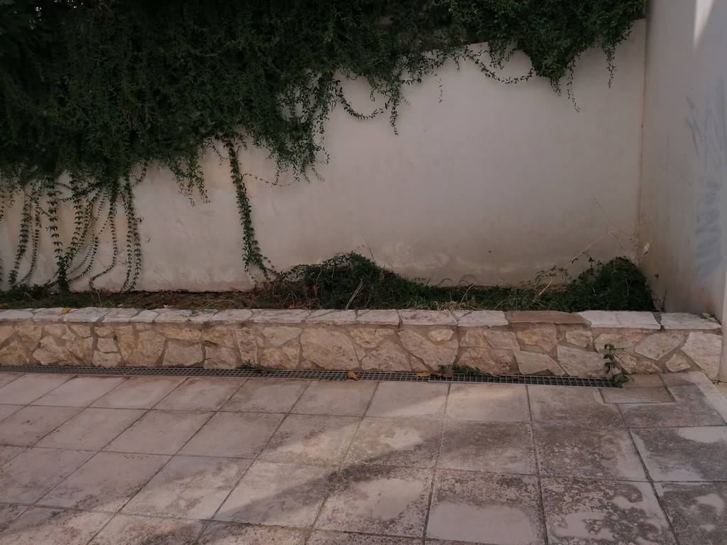 Κατάστημα 326 τ.μ. προς ενοικίαση, Κέντρο Πάτρας