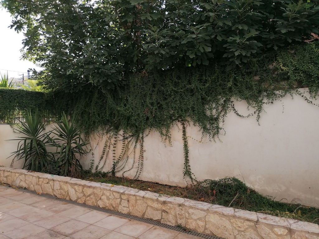 Κατάστημα 326 τ.μ. προς ενοικίαση, Κέντρο Πάτρας