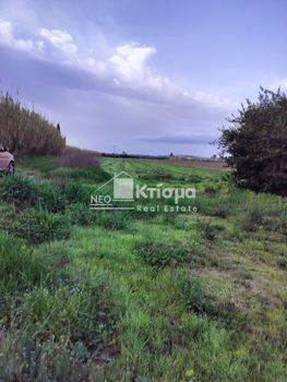 Αγροτεμάχια 8.426τ.μ. για πώληση-Ιαρδανός » Κατσαρός