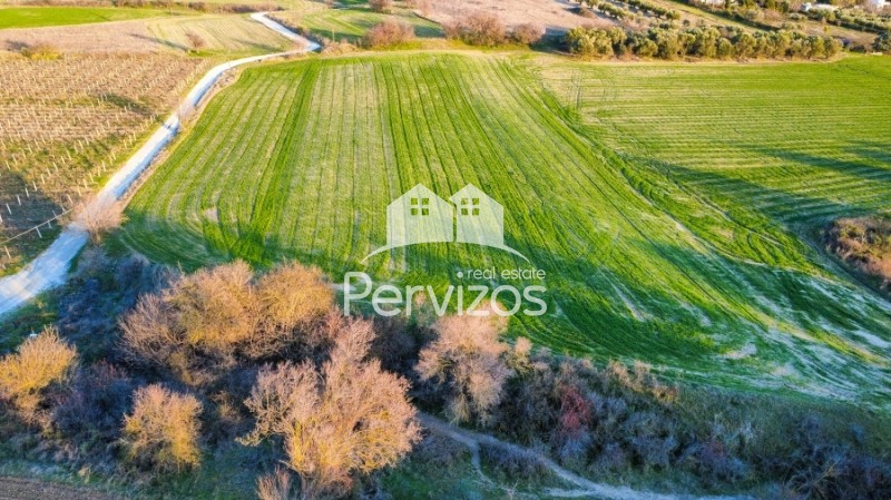 Αγροτεμάχια 5.400 τ.μ. πρός πώληση, Θεσσαλονίκη - Περιφ/Κοί Δήμοι, Επανομή