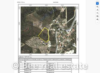 Αγροτεμάχια 6.334 τ.μ. για πώληση