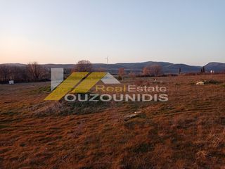 Οικόπεδο 5.900 τ.μ. για πώληση, Εβρος, Τραϊανούπολη-thumb-5