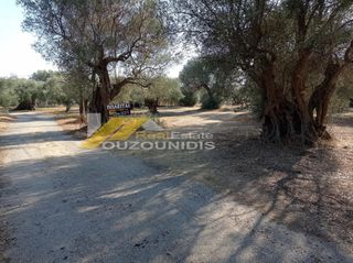 Αγροτεμάχια 1.850 τ.μ. προς πώληση, Κέντρο Αλεξανδρούπολης-thumb-3