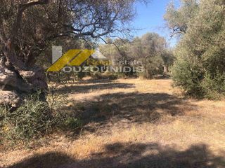 Αγροτεμάχια 1.850 τ.μ. προς πώληση, Κέντρο Αλεξανδρούπολης-thumb-9
