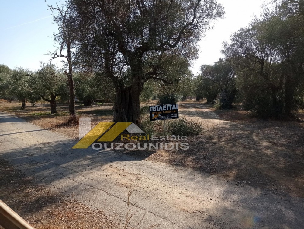 Αγροτεμάχια 1.850 τ.μ. πρός πώληση, Εβρος, Αλεξανδρούπολη