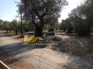 Αγροτεμάχια 1.850 τ.μ. προς πώληση, Κέντρο Αλεξανδρούπολης-thumb-1