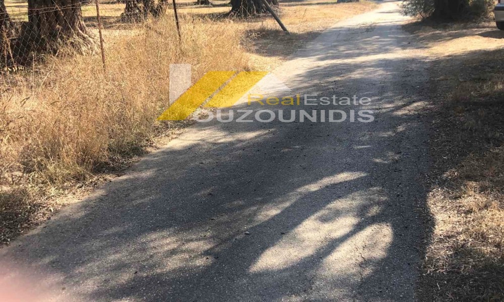 Αγροτεμάχια 1.850 τ.μ. πρός πώληση, Εβρος, Αλεξανδρούπολη