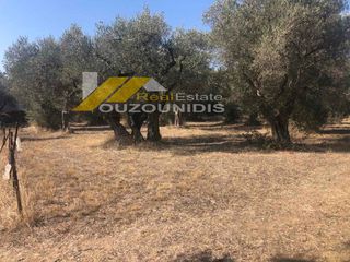 Αγροτεμάχια 1.850 τ.μ. προς πώληση, Κέντρο Αλεξανδρούπολης-thumb-6