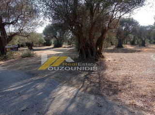 Αγροτεμάχια 1.850 τ.μ. προς πώληση, Κέντρο Αλεξανδρούπολης-thumb-2