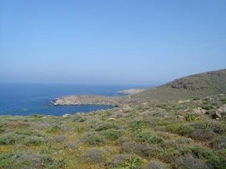 Οικόπεδο 4.020 τ.μ. για πώληση, Κυκλάδες, Κύθνος-thumb-3