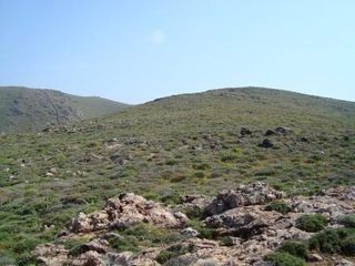 Οικόπεδο 4.020 τ.μ. για πώληση, Κυκλάδες, Κύθνος-thumb-7