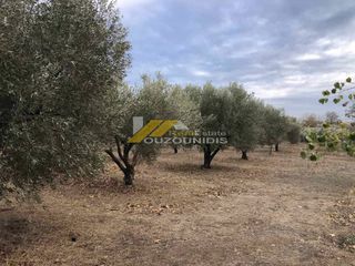 Αγροτεμάχια 4.300 τ.μ. προς πώληση, Κέντρο Αλεξανδρούπολης-thumb-2