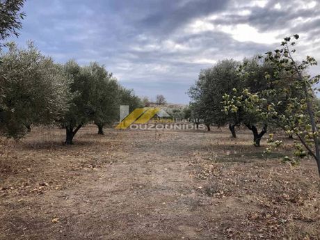 Parcel 4.300sqm for sale-Alexandroupoli » Center