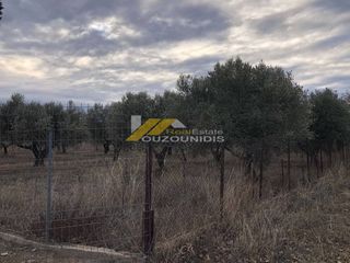 Αγροτεμάχια 4.300 τ.μ. προς πώληση, Κέντρο Αλεξανδρούπολης-thumb-6