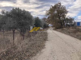 Αγροτεμάχια 4.300 τ.μ. προς πώληση, Κέντρο Αλεξανδρούπολης-thumb-5
