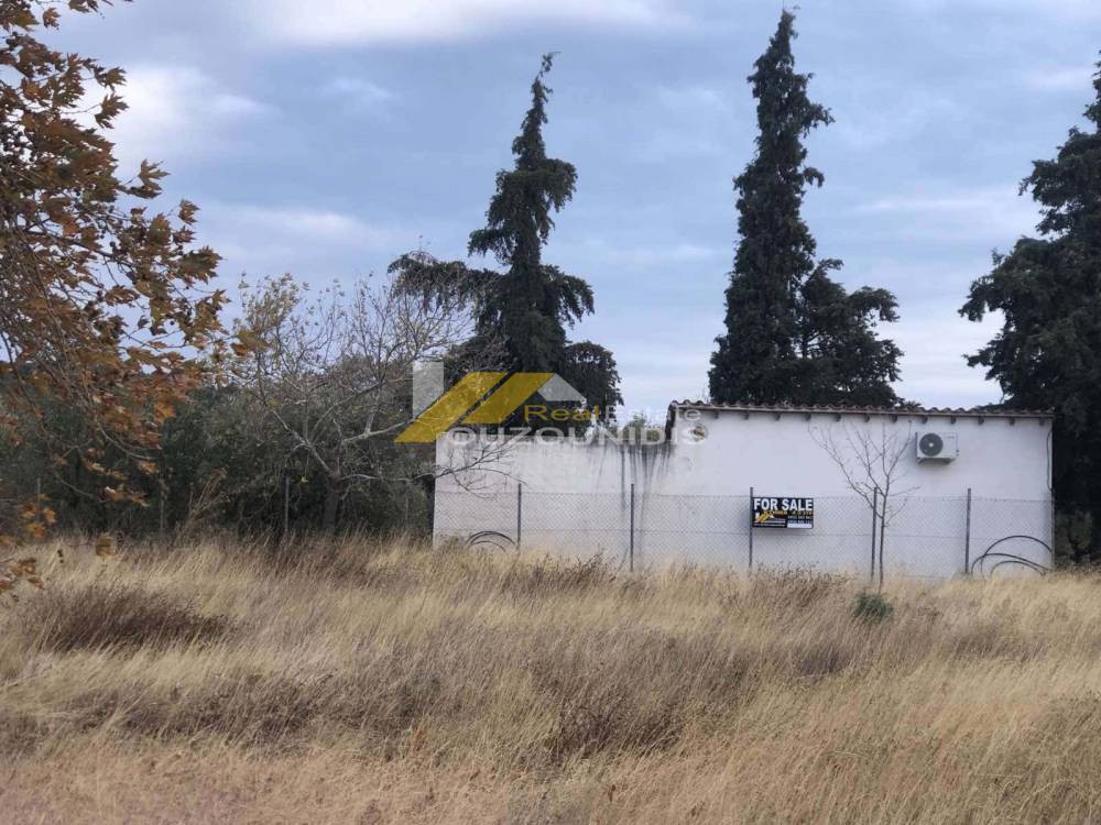 Αγροτεμάχια 4.300 τ.μ. πρός πώληση, Εβρος, Αλεξανδρούπολη