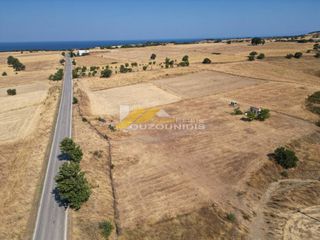 Αγροτεμάχια 9.300 τ.μ. για πώληση