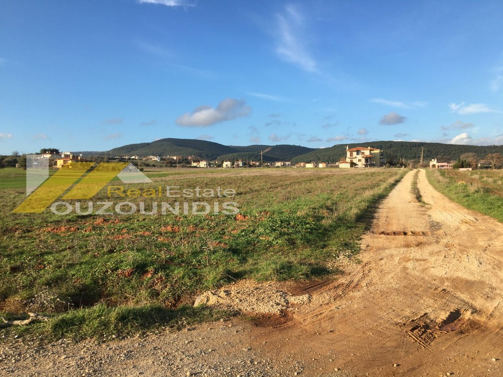 Αγροτεμάχια 6.800 τ.μ. πρός πώληση, Εβρος, Αλεξανδρούπολη