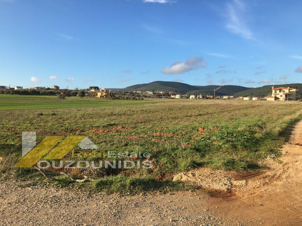 Αγροτεμάχια 6.800 τ.μ. πρός πώληση, Εβρος, Αλεξανδρούπολη