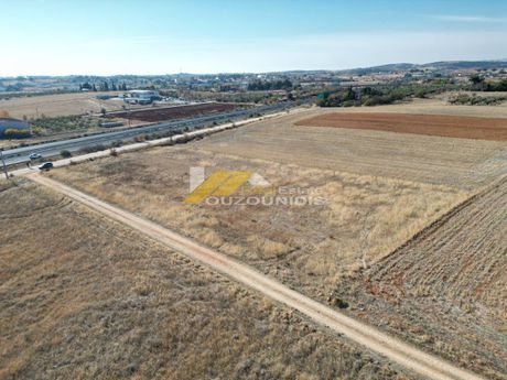 Parcel 6.000sqm for sale-Alexandroupoli » Palagia
