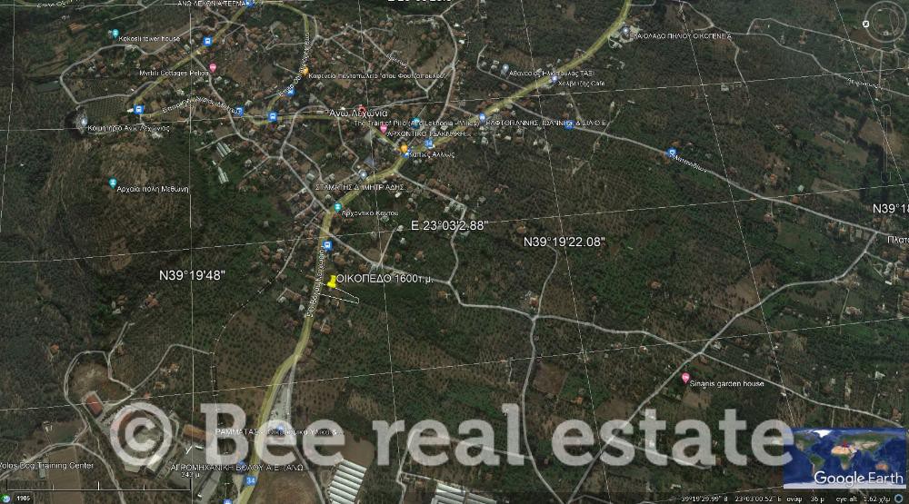 Οικόπεδο 1.600 τ.μ. προς πώληση, Άνω Λεχώνια