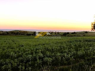 Αγροτεμάχια 24.312 τ.μ. για πώληση