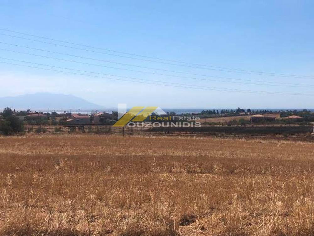Αγροτεμάχια 3.075 τ.μ. πρός πώληση, Εβρος, Αλεξανδρούπολη