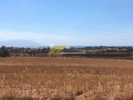 Αγροτεμάχια 3.075τ.μ. για πώληση-Αλεξανδρούπολη » Νέα χιλή