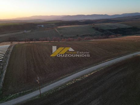 Parcel 17.000sqm for sale-Alexandroupoli » Apalos