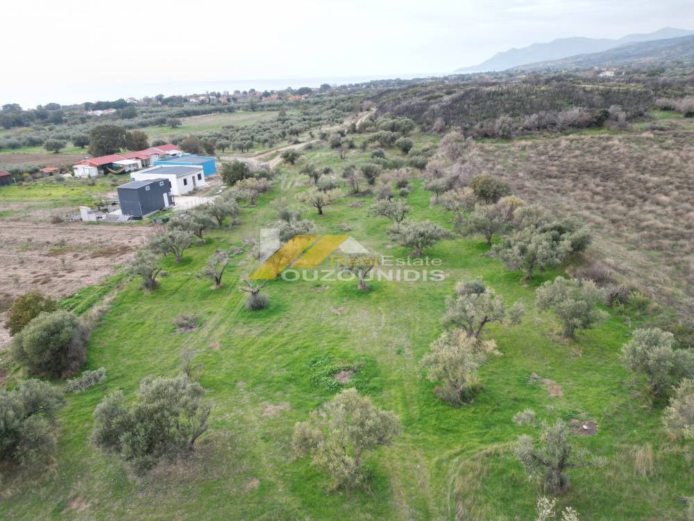 Αγροτεμάχια 3.000 τ.μ. πρός πώληση, Εβρος, Αλεξανδρούπολη
