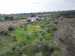 Αγροτεμάχια 3.000 τ.μ. για πώληση
