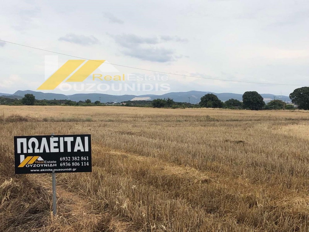 Αγροτεμάχια 4.000 τ.μ. προς πώληση, Κέντρο Αλεξανδρούπολης