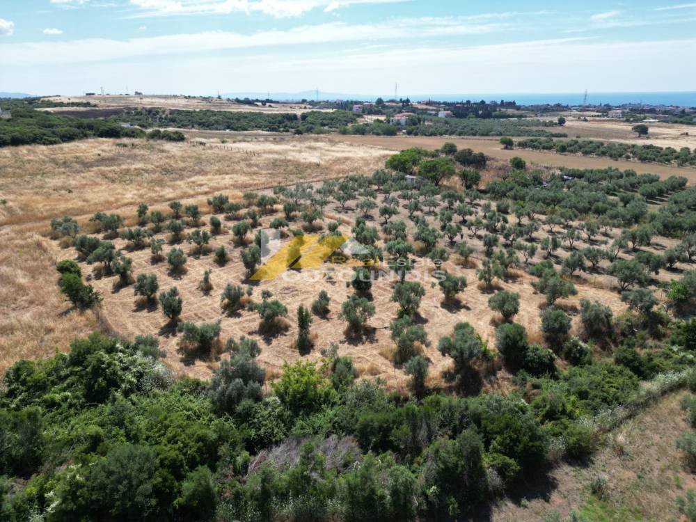 Αγροτεμάχια 7.800 τ.μ. πρός πώληση, Εβρος, Αλεξανδρούπολη