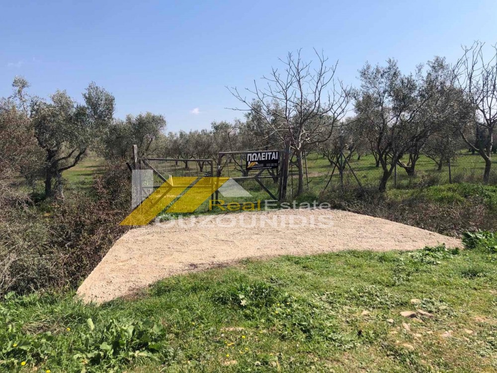 Αγροτεμάχια 7.800 τ.μ. πρός πώληση, Εβρος, Αλεξανδρούπολη