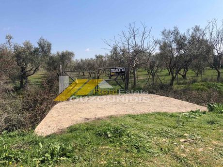 Parcel 7.800sqm for sale-Alexandroupoli » Center