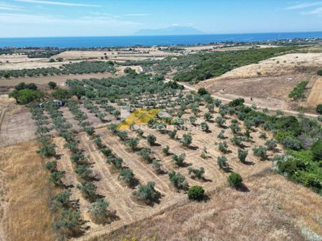Αγροτεμάχια 7.800 τ.μ. πρός πώληση