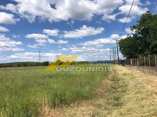 Αγροτεμάχια 14.000 τ.μ. για πώληση, Εβρος, Φέρες-thumb-3