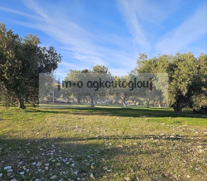 Μονοκατοικία 50 τ.μ. πρός πώληση, Αττική - Υπόλοιπο, Κερατέα